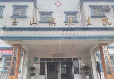 贵州瓮安玉山镇卫生院采购儿童智力测试仪