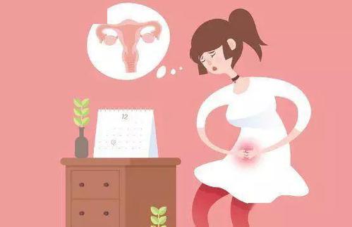 全自动妇科分泌物分析系统如何通过白带异常来区分阴道炎类型呢?
