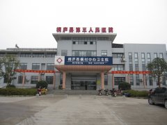 桐庐县第三人民医院采购儿童智力测试仪