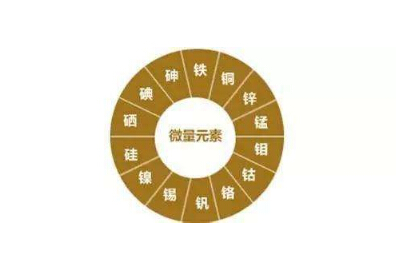 微量元素分析仪阐述这些微量元素缺少或过多都会健康长寿 微量元素分析仪阐述这些微量元素缺少或过多都会健康长寿