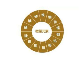 人体微量元素检测仪值_【520】微量元素数值可以测人心不能测 人体微量元素检测仪值_【520】微量元素数值可以测人心不能测