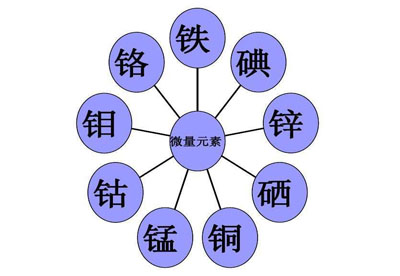 微量元素分析仪品牌介绍血液微量元素检测主要检查什么? 微量元素分析仪品牌介绍血液微量元素检测主要检查什么?