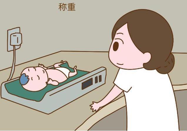 山东国康新生儿体重秤小知识-新生儿身高体重的标准是多少?