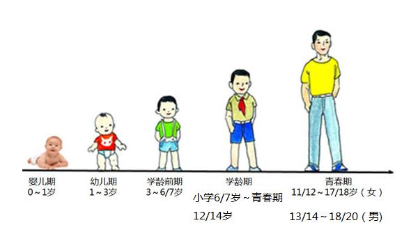 607儿童生长发育测试仪检测儿童生长发育的特点
