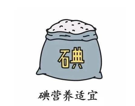 全自动尿碘分析仪【国康】分析群体尿碘检测与个体尿碘检测的差异
