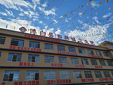 人体微量元素分析仪 国康人体微量元素分析仪价格多少钱台祝贺广西博白县那林镇卫生院安装成功